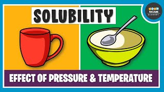 What is Solubility Chemistry [upl. by Wolliw337]