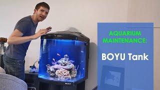 FULL Maintenance Routine on my BOYU Aquarium [upl. by Rhonda]