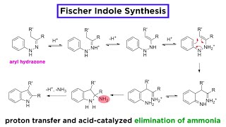 Fischer Indole Synthesis [upl. by Nerrad]