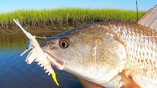 3 Tips To Catch Shallow Water Redfish [upl. by Rebhun]