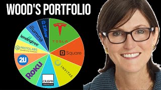 A Deep Look Into Cathie Woods Portfolio Ark Invest [upl. by Radbourne]