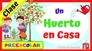 UN HUERTO EN CASA Aprendeencasa PREESCOLAR [upl. by Enyedy]