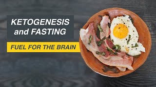 Ketogenesis and Fasting Fuel for the Brain [upl. by Annehsat]