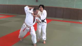 JUJITSU 20 techniques  B4 [upl. by Tallu]