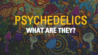 Psychedelics Explained  Revealing The Mind [upl. by Winonah]