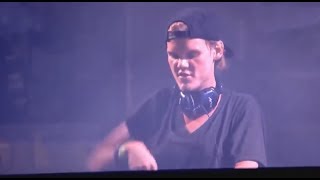 Avicii  Wake Me Up  Ultra Music Festival Miami 2013 [upl. by Borman525]