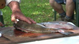 How to Fillet a Redfish [upl. by Wallack509]