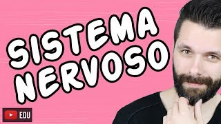 SISTEMA NERVOSO  FISIOLOGIA  Aula  Biologia com Samuel Cunha [upl. by Oralie]