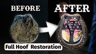 Restoring Horses Hooves  ASMR Compilation Satisfying [upl. by Koh222]