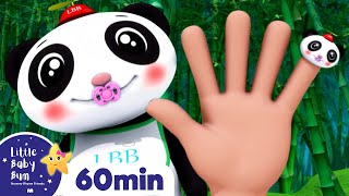 Panda Finger Family More Nursery Rhymes and Kids Songs  Little Baby Bum [upl. by Alesig623]