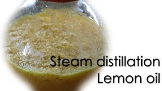 Steam distillation  Lemon essential oil 🍋 [upl. by Desdamona794]