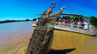 BIGGEST Crocodiles In The World [upl. by Amalle]