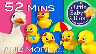 Five Little Ducks  1 Hour of LittleBabyBum  Nursery Rhymes for Babies ABCs and 123s  LBB [upl. by Ciapha838]