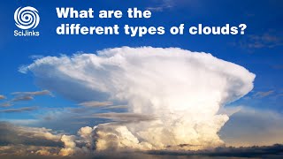 What Are the Different Types of Clouds [upl. by Revolc752]