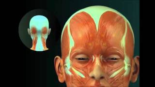 Botox Injections For Migraine Headaches [upl. by Atena420]