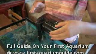 Filters For Your Aquarium Beginners How To Guide [upl. by Labanna]