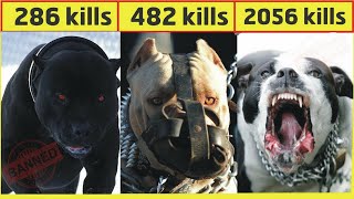 दुनिया के सबसे खतरनाक कुत्ते  Top 10 dangerous dog breeds in the world 2020 Hindi [upl. by Yrreg]