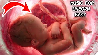 Music for unborn baby  Brain development  Relax [upl. by Nahtam]