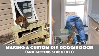 Making a Custom DIY Doggie Door and getting stuck in it [upl. by Mcknight976]