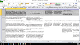 How to Create a Literature Matrix Excel [upl. by Eeltrebor]