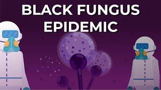 What is Black Fungus or Mucormycosis [upl. by Rihaz]