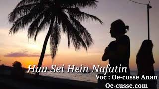 Lagu Timor Terbaru Galau 2019 HAU SEI HEIN NAFATIN O [upl. by Dielle792]