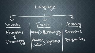 SEMANTICS1 What is Semantics [upl. by Gerg]