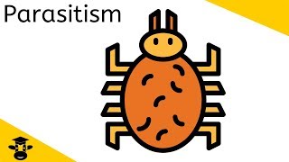 Parasitism Examples [upl. by Adnolaj841]