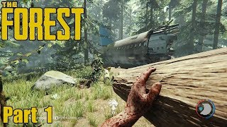 The Forest  Survival  Getting Started Part 1 [upl. by Carnay]