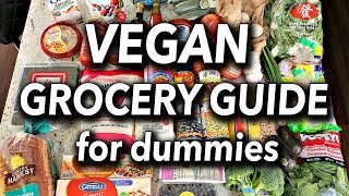 BUDGET FRIENDLY VEGAN GROCERY GUIDE FOR BEGINNERS  Vegan Grocery Haul [upl. by Mccartan117]