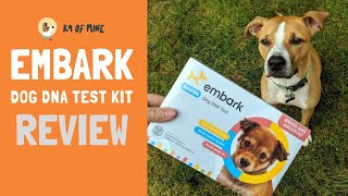 Embark Dog DNA Test Breed Identification Kit Review 2019 [upl. by Dikmen147]