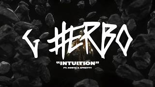 G Herbo  Intuition Official Lyric Video [upl. by Gall]