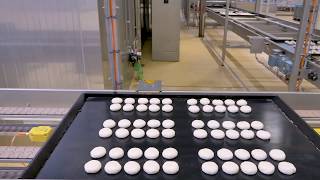 Automated bakery  bun production line [upl. by Ulda]