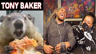 TONY BAKER ANIMAL VOICE OVERS ARE HILARIOUS [upl. by Saideman542]