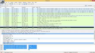 9216 Lab  Using Wireshark to Observe the TCP 3Way Handshake [upl. by Shelagh]