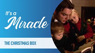 Episode 12 Season 2 Its a Miracle  The Christmas Box Twister Survival Brat the Cat [upl. by Doretta]