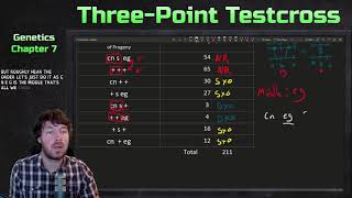 ThreePoint Testcross Example  Genetics [upl. by Goeselt386]