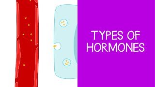 A2 Biology  Endocrine system and hormone types OCR A Chapter 141 [upl. by Shirk]