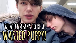 Wasted Puppy  Gay Couple VLOG [upl. by Walston]