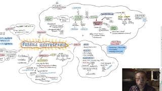 Neutropenic Sepsis [upl. by Fredelia]