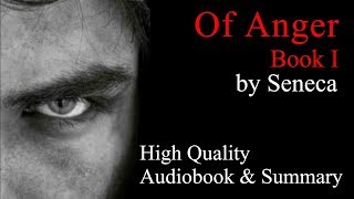 Seneca Of Anger Book 1  Audiobook amp Summary [upl. by Airpal]