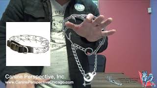 Quick Release Prong Tutorial And Styles Of Prong Collars To Avoid [upl. by Nede547]