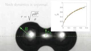 Diffusivelygrowing gas bubble coalescence [upl. by Sidonius]