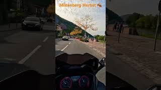 Miltenberg Herbst 2023 [upl. by Enitsirk876]