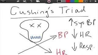 Cushings Triad  ICP  EMTprepcom [upl. by Neeloj]