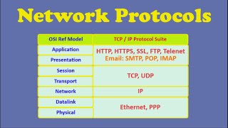 Network Protocols [upl. by Anairuy113]