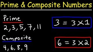 Prime Numbers and Composite Numbers [upl. by Zandra]