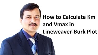 How to Calculate Km and Vmax using Lineweaver Burk Plot [upl. by Cochard]