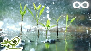 Raindrops • Relaxing Piano Music with Tropical Rain Sounds for Sleep Work or Meditation [upl. by Ahsie480]