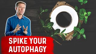 Enhance Autophagy with Coffee and Herbs [upl. by Nafri416]